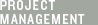 Project management