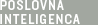 Poslovna inteligenca