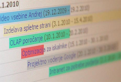 Projektno vodenje